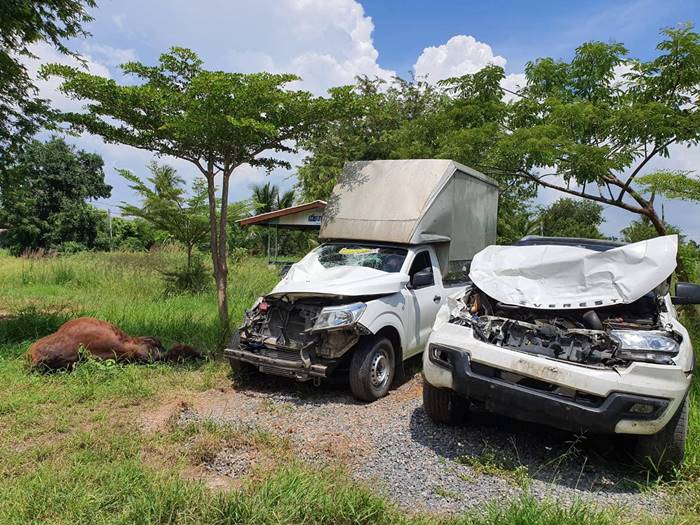 หยอง ลูกหยี