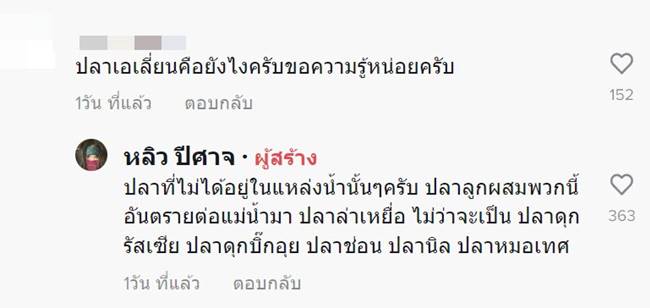 ตกปลา
