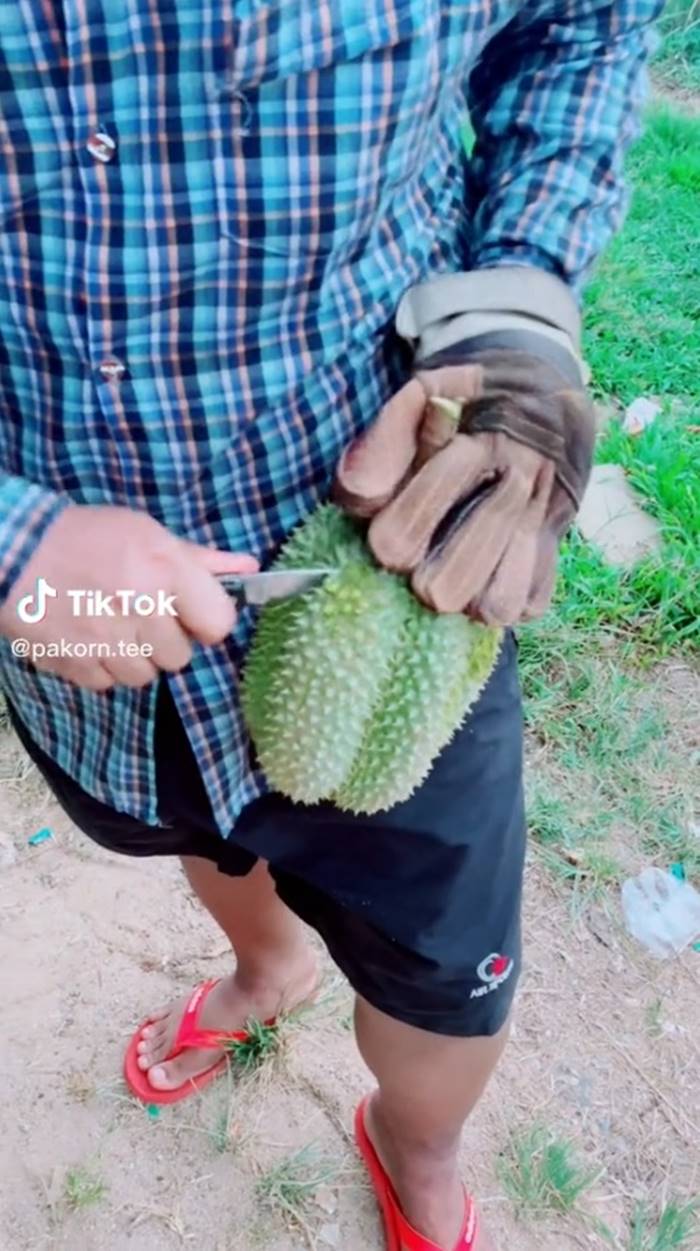 ทุเรียน