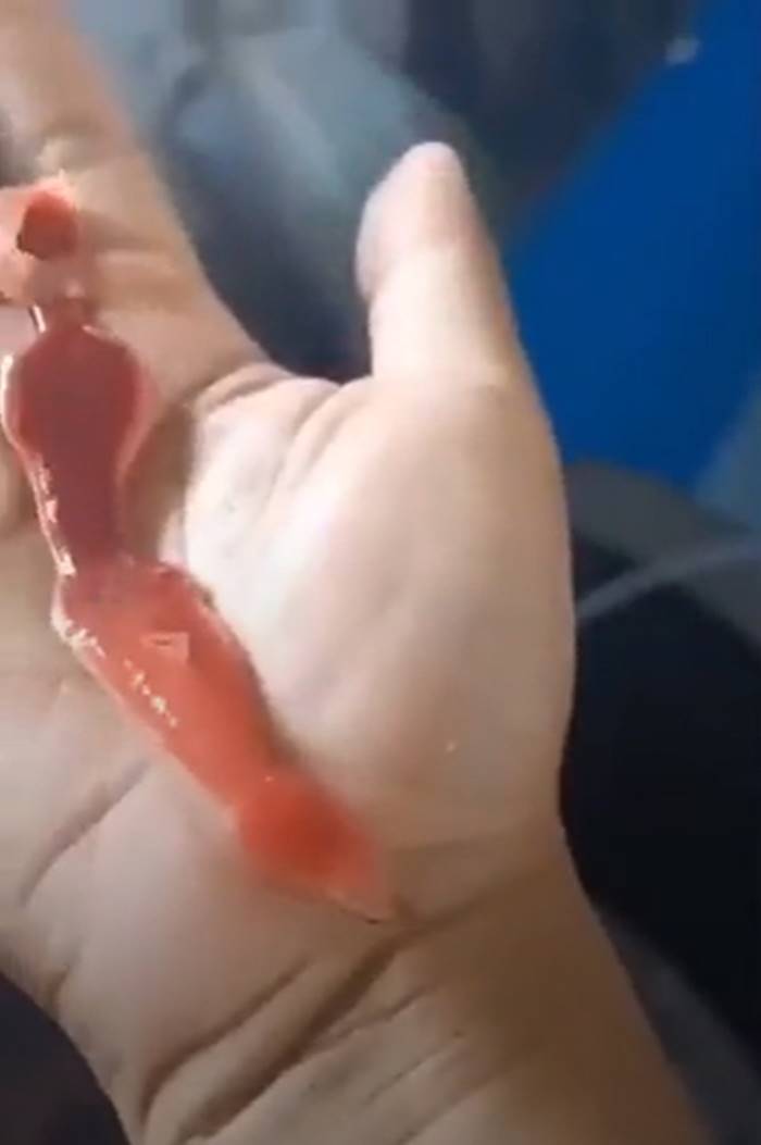 สัตว์ประหลาด