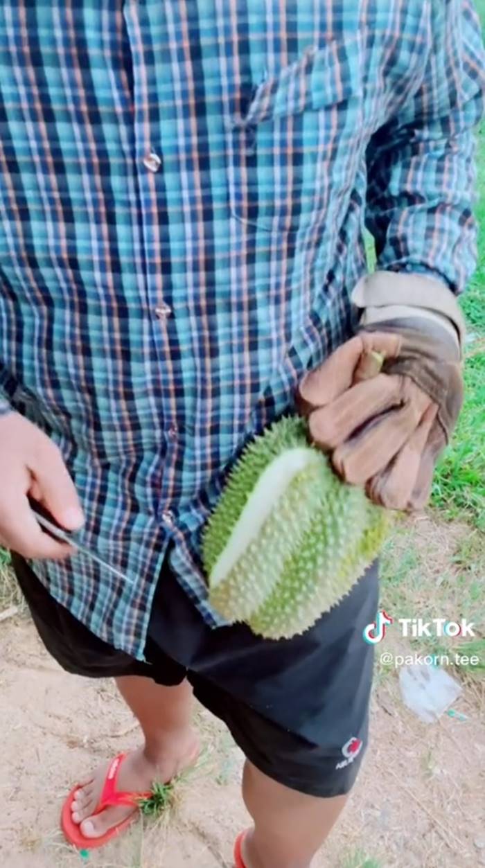 ทุเรียน