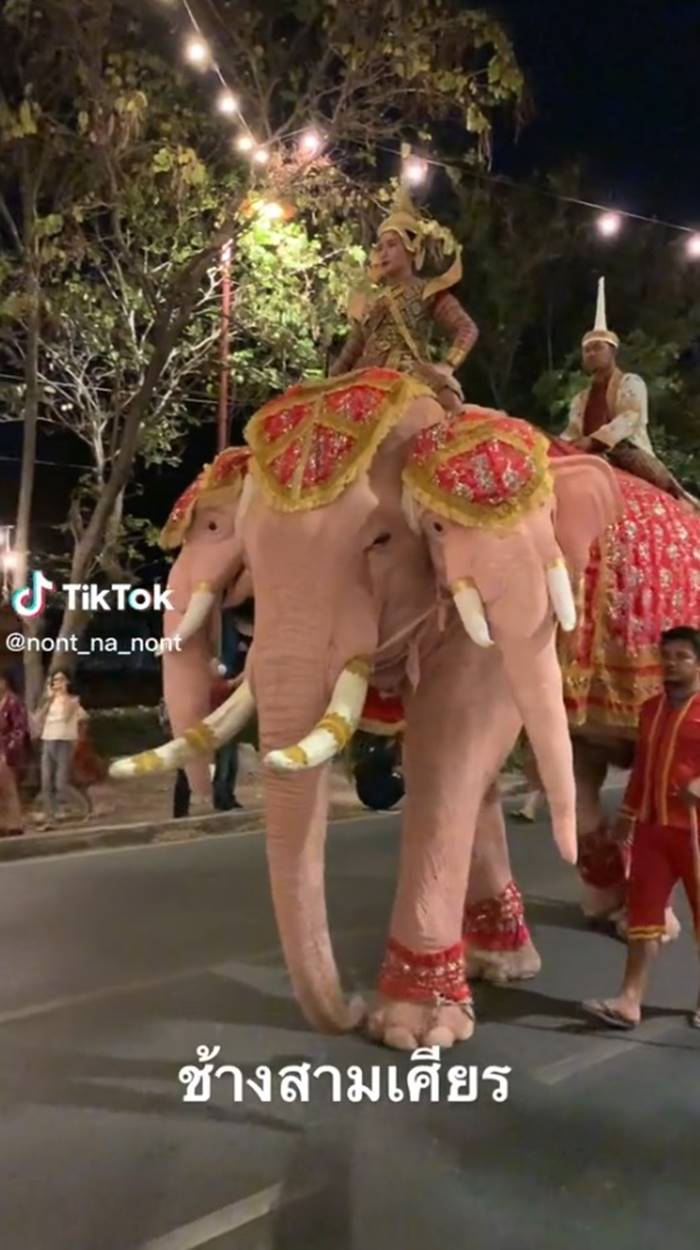 ช้างเผือก 3 เศียร