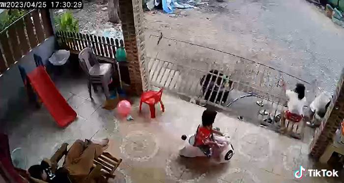 รั้วล้มทับลูก