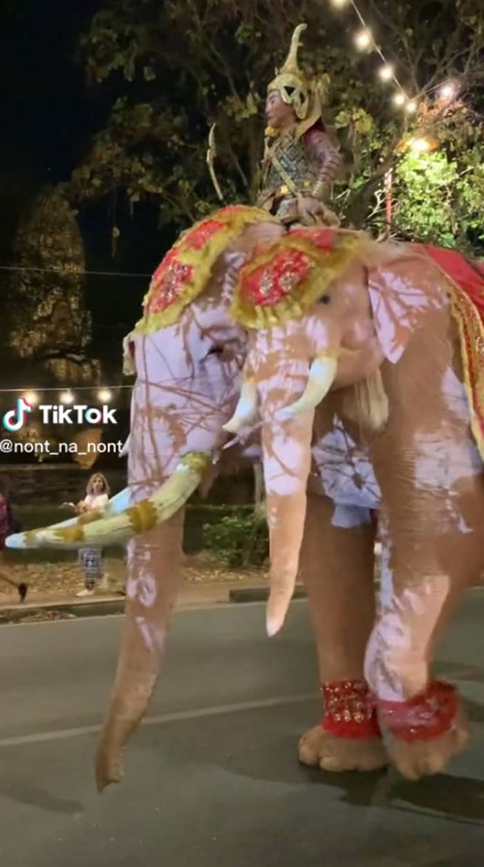 ช้างเผือก 3 เศียร