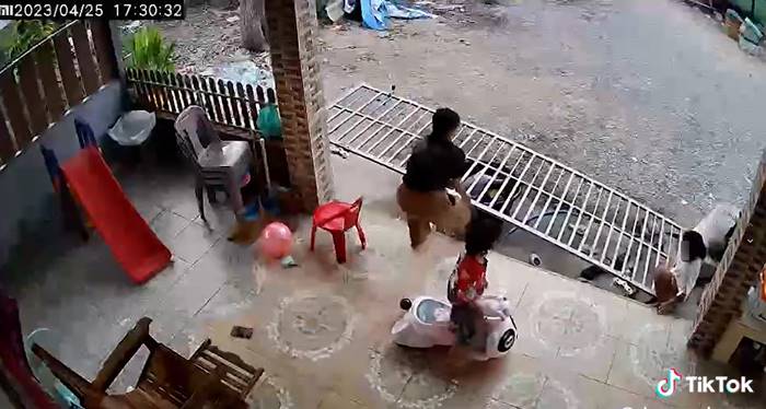 รั้วล้มทับลูก