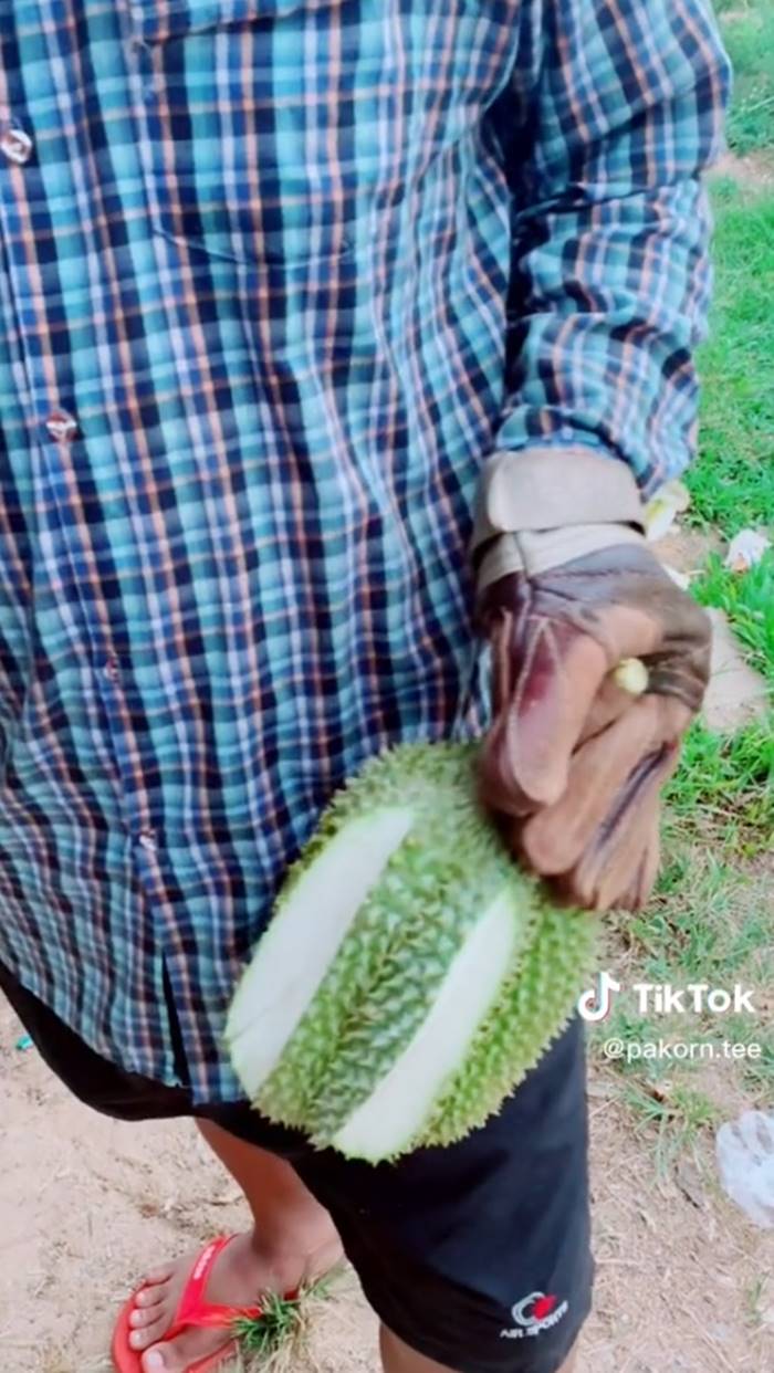 ทุเรียน