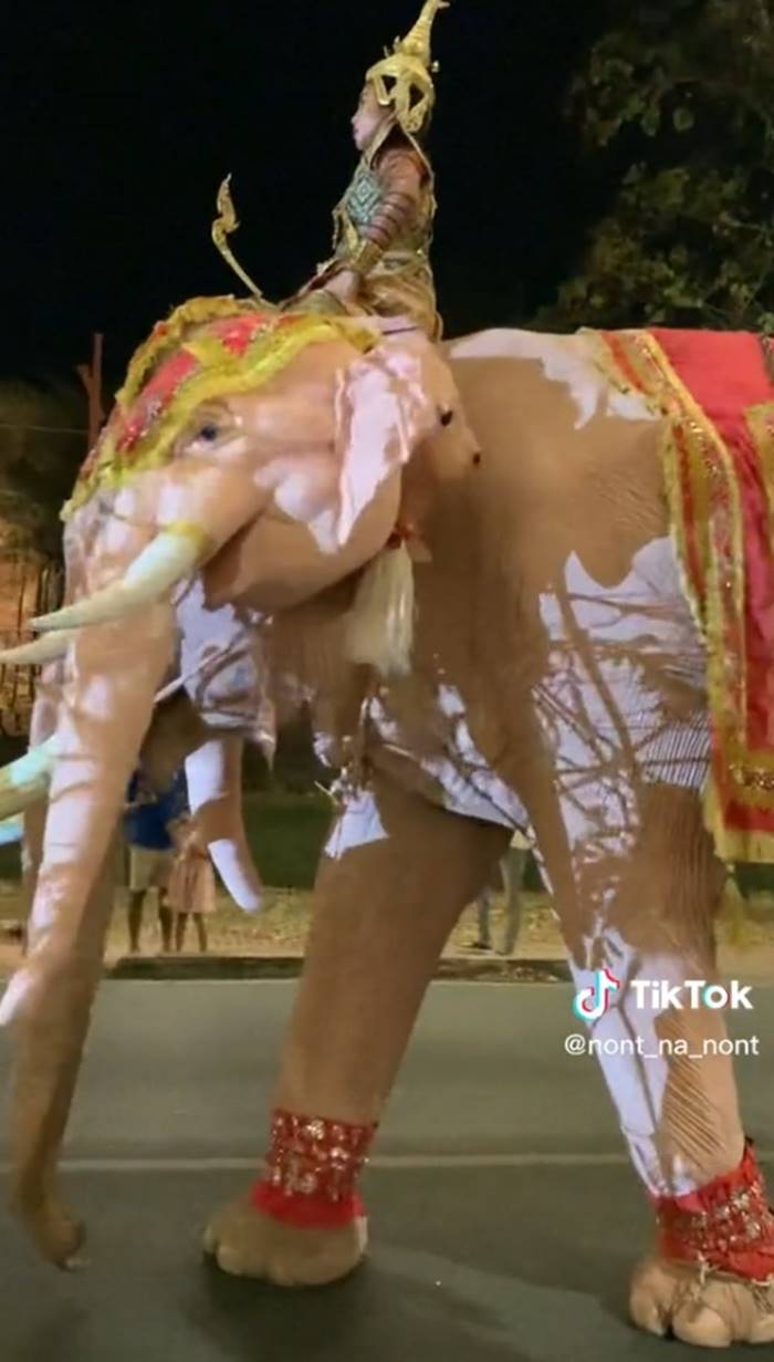 ช้างเผือก 3 เศียร