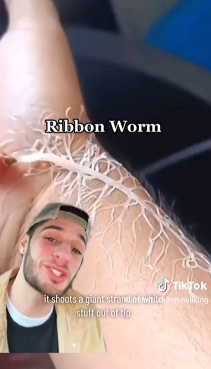 สัตว์ประหลาด