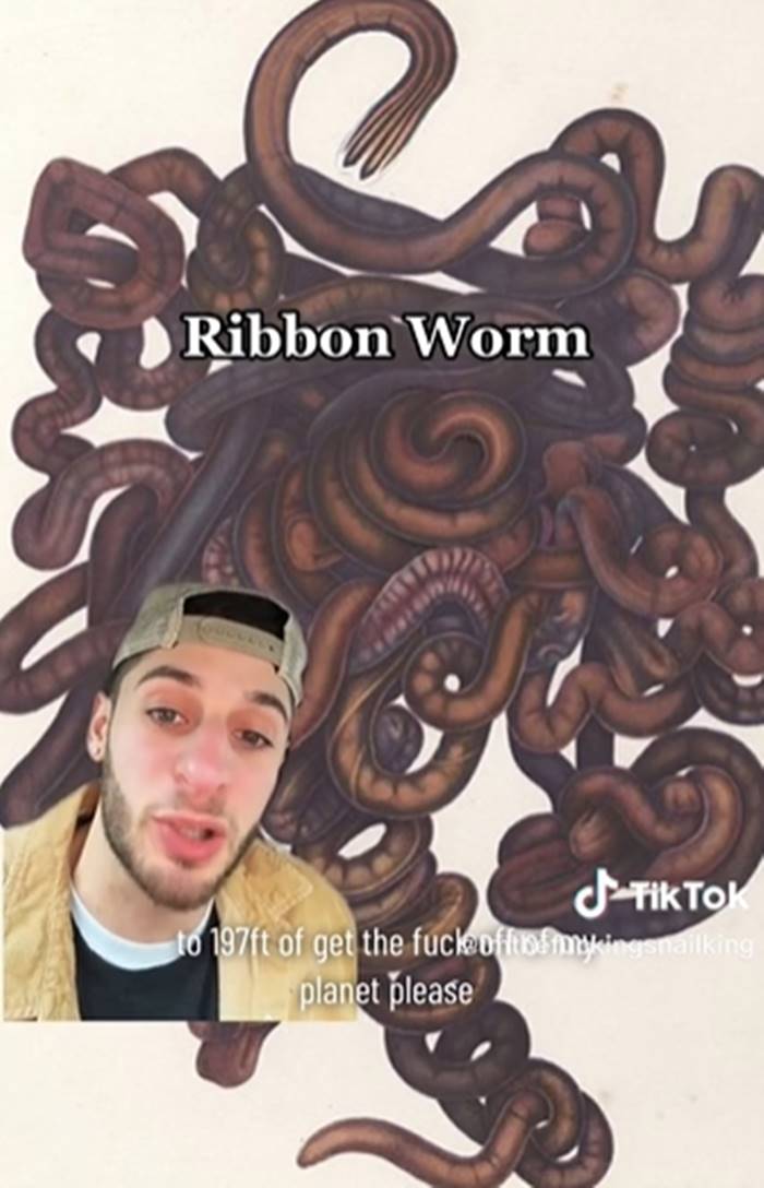 สัตว์ประหลาด