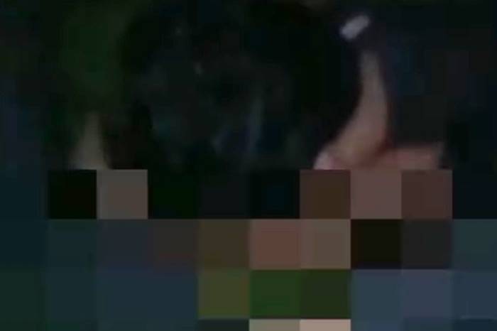 เซ็กส์ในที่สาธารณะ