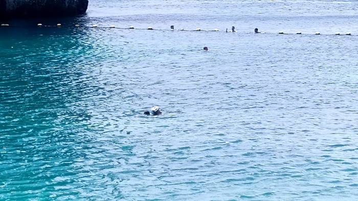 ทราย สก๊อต 