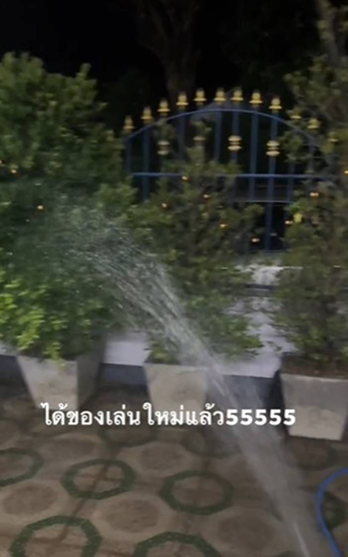 รดน้ำต้นไม้