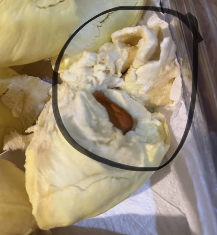 ทุเรียน