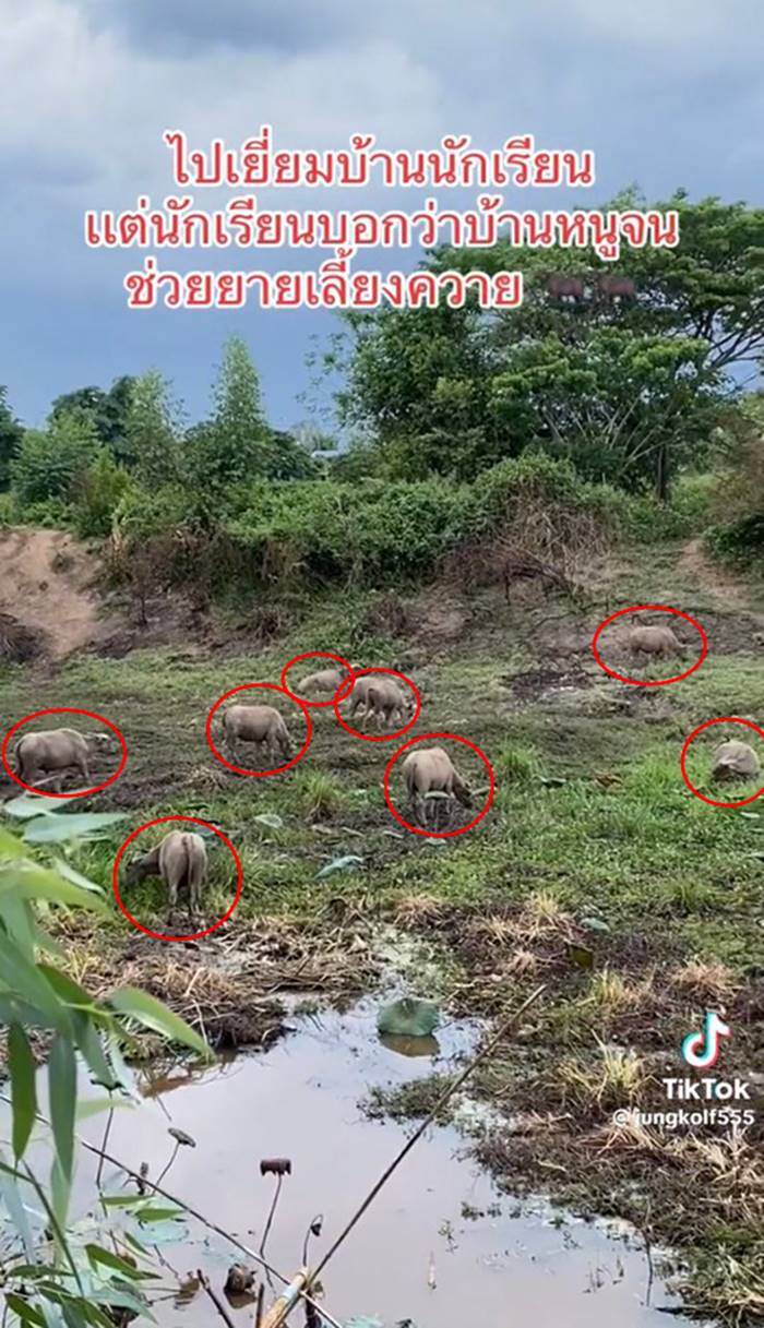 ครู, นักเรียน