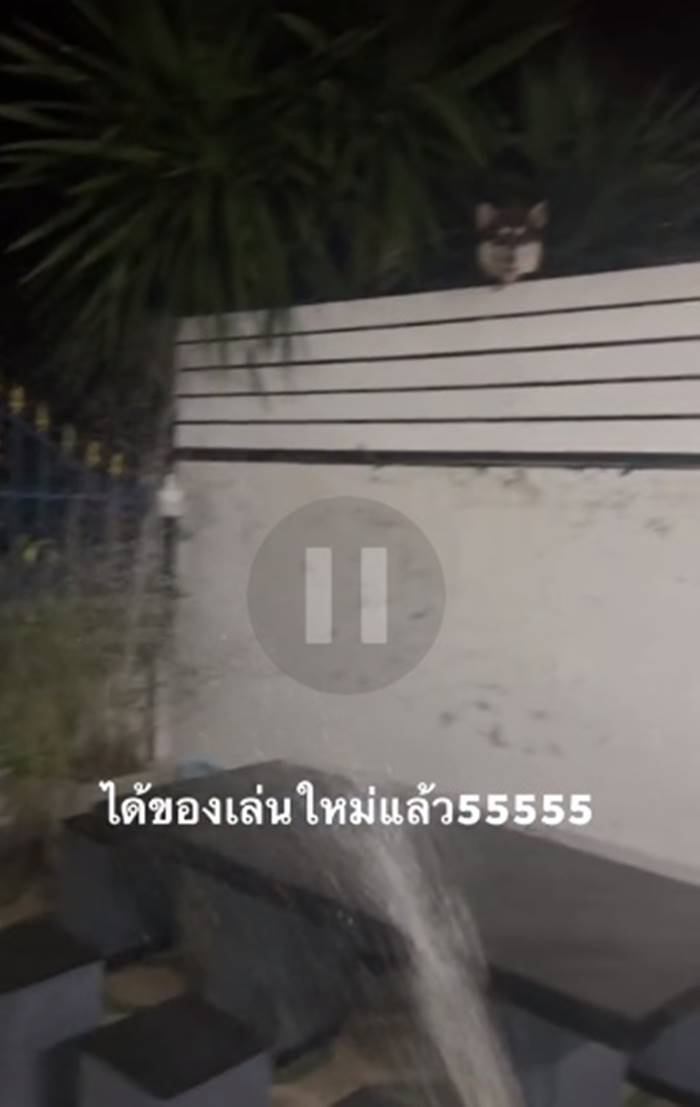 รดน้ำต้นไม้