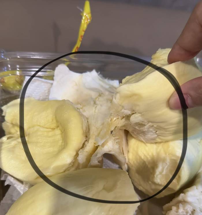 ทุเรียน