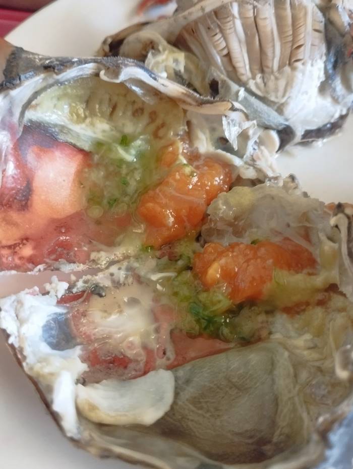 ปูม้าอิตาลี