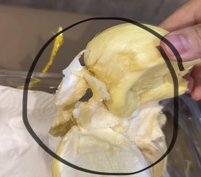 ทุเรียน