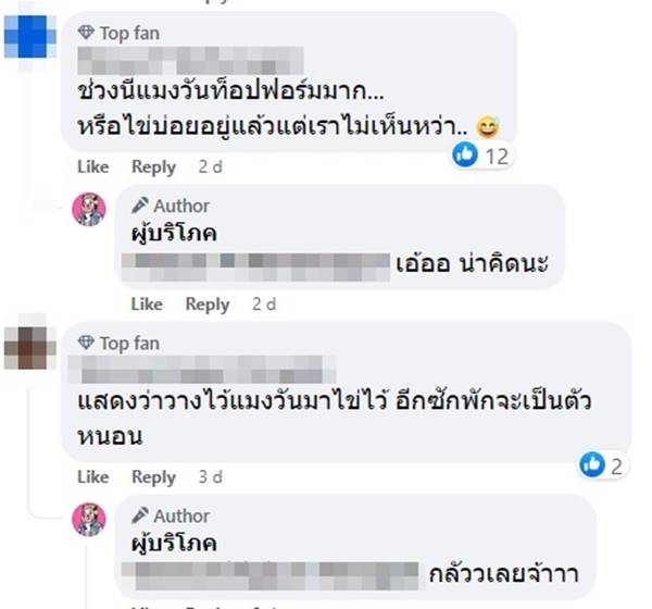 ไข่แมลงวัน