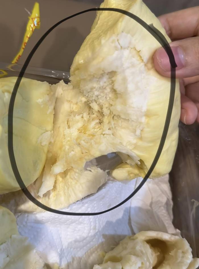 ทุเรียน