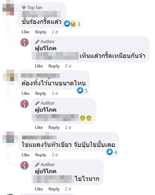 ไข่แมลงวัน
