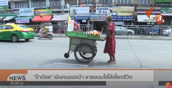 ป้าต้อยเมืองนนท์