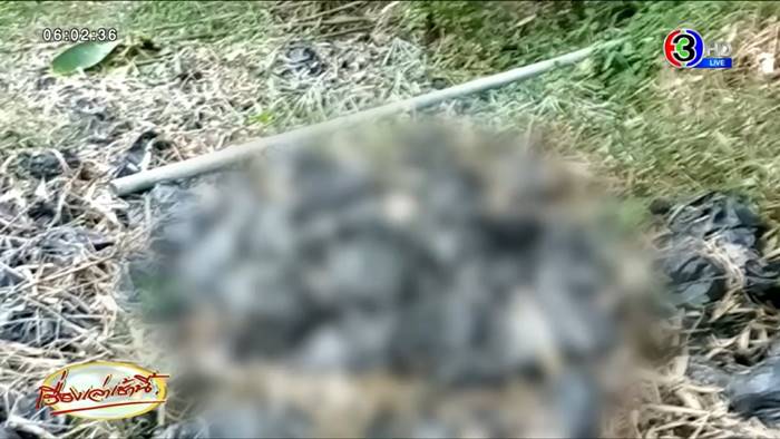 ฆ่ายกครัว