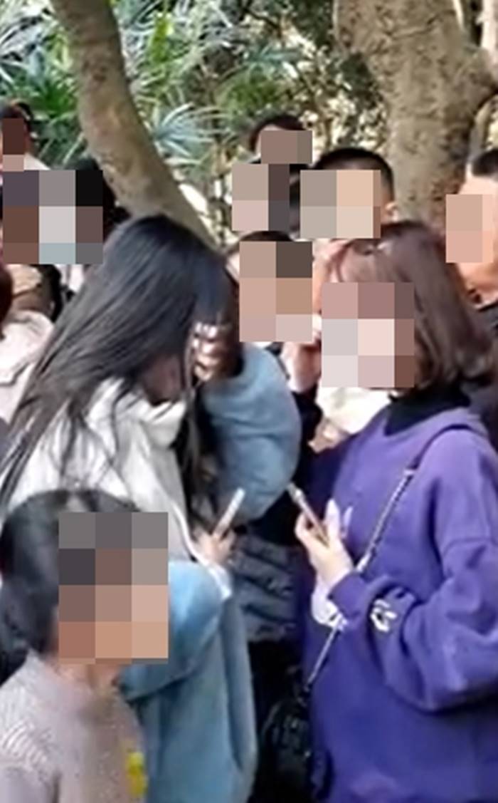 ทำร้ายสัตว์