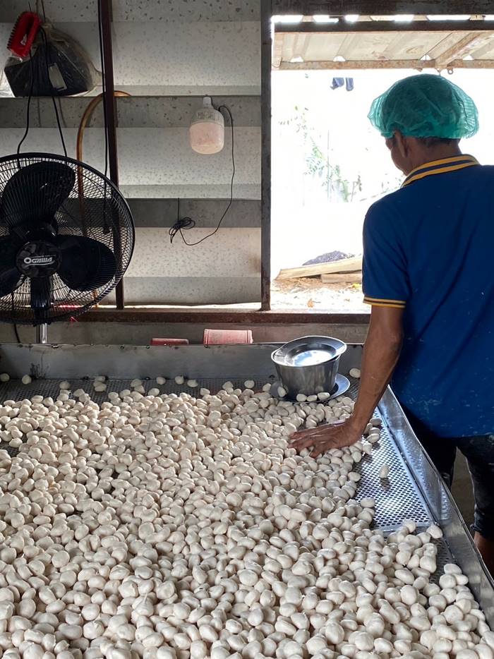 โรงงานลูกชิ้น