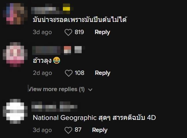 จระเข้, ตัวเงินตัวทอง