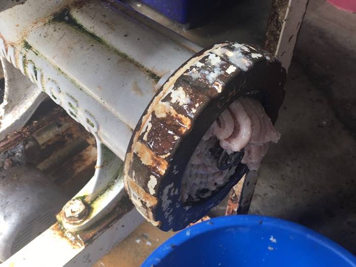 โรงงานลูกชิ้น