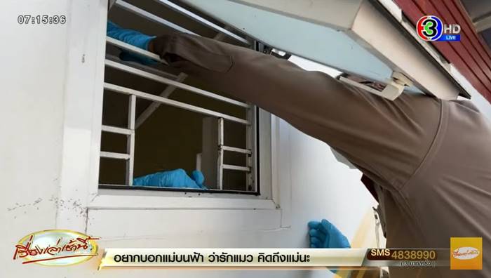 เฮียหมู