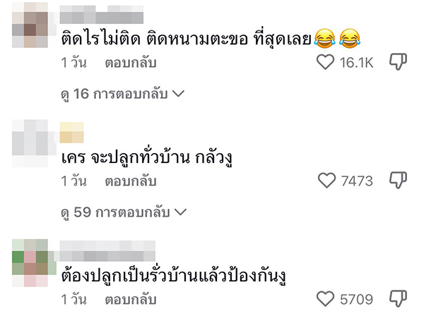งูติดแมมหนามตะขอ