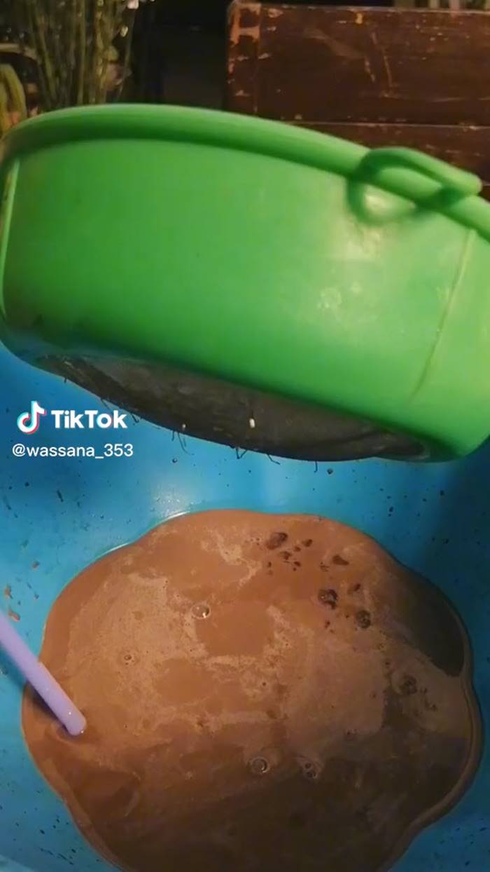 โกโก้ปั่น