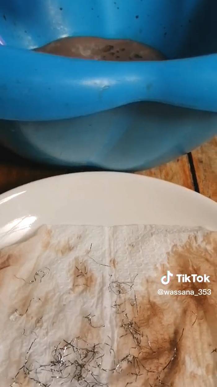 โกโก้ปั่น