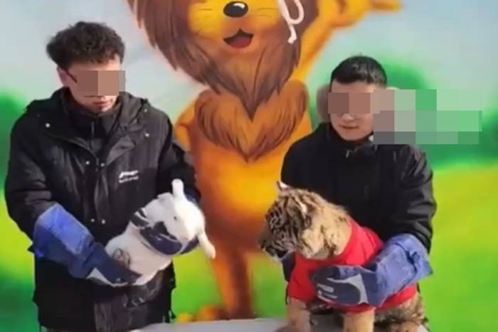 ตรุษจีน