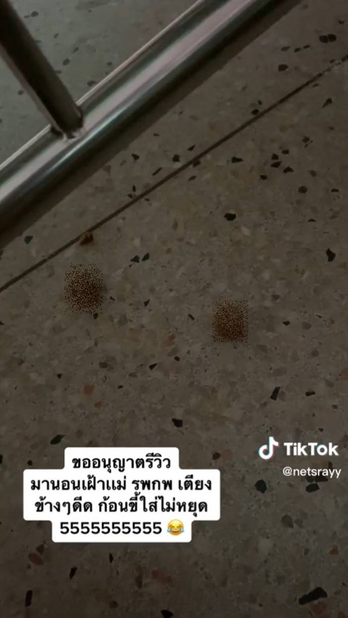 ปาอุจจาระ, เล่นพิเรนทร์