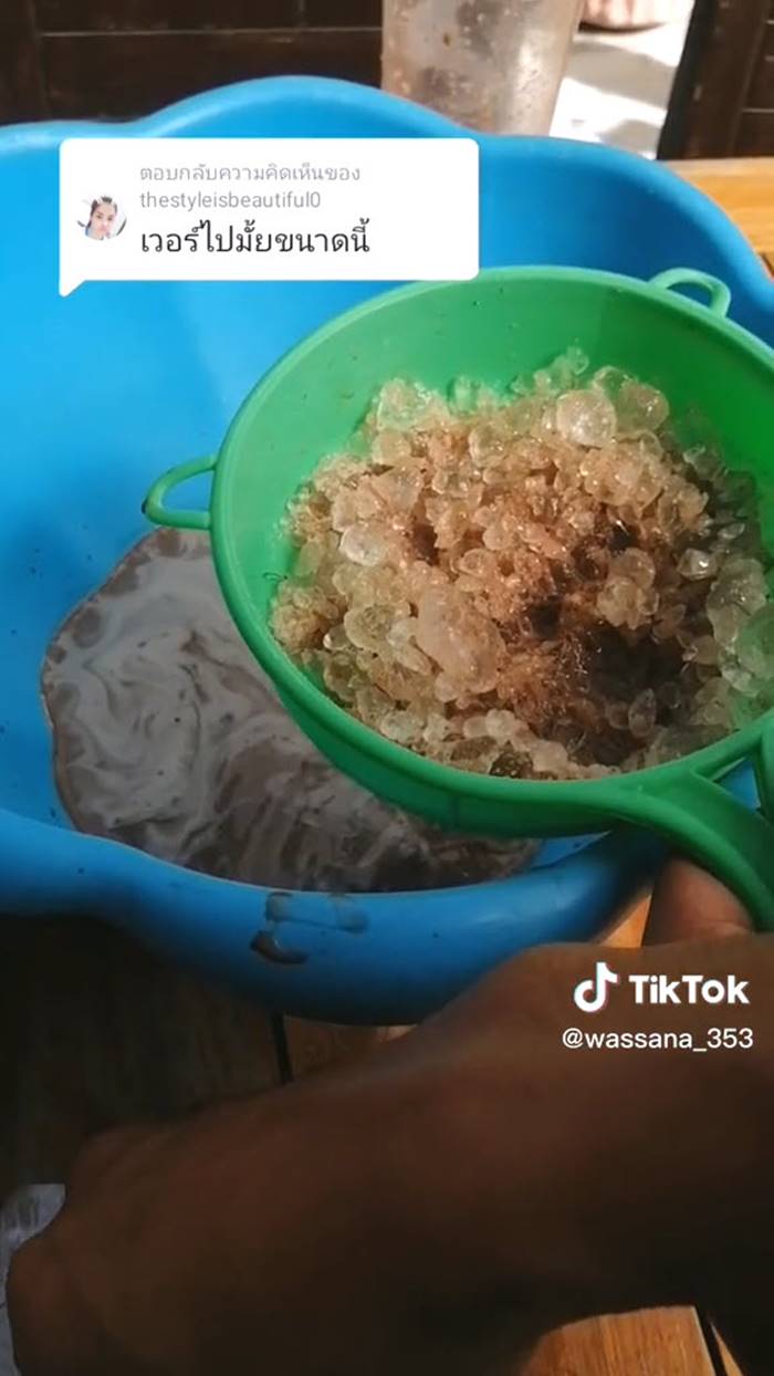 โกโก้ปั่น