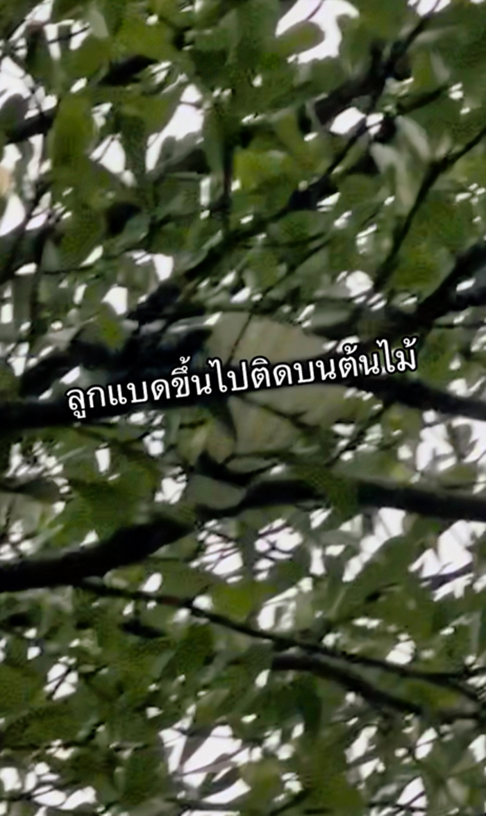 แบดมินตัน