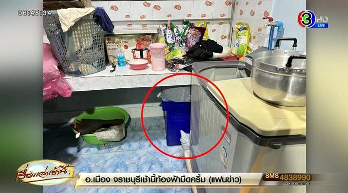 ฆ่าโบกปูน