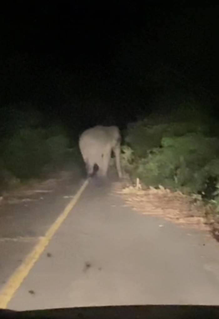 ถนนกาญจนบุรี