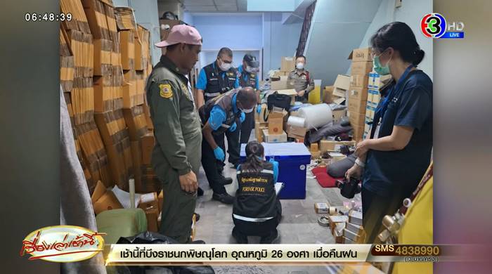 ฆ่าโบกปูน