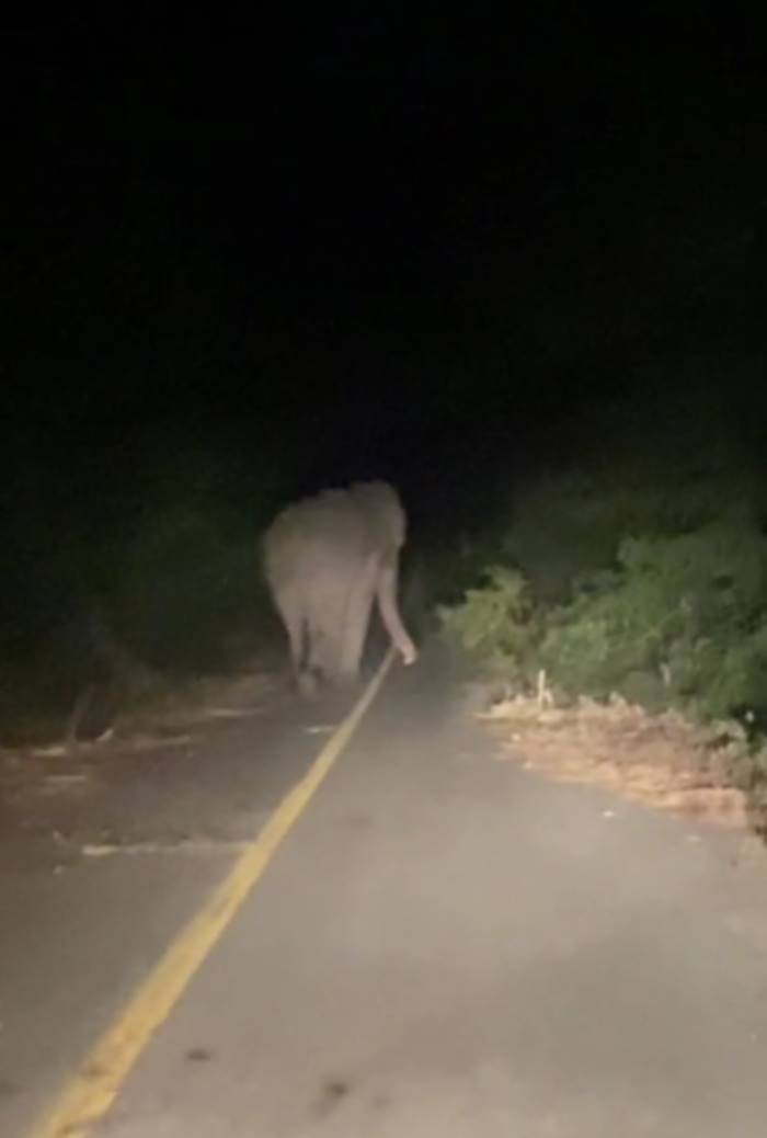 ถนนกาญจนบุรี