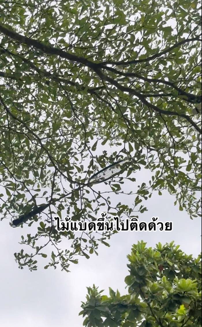 แบดมินตัน