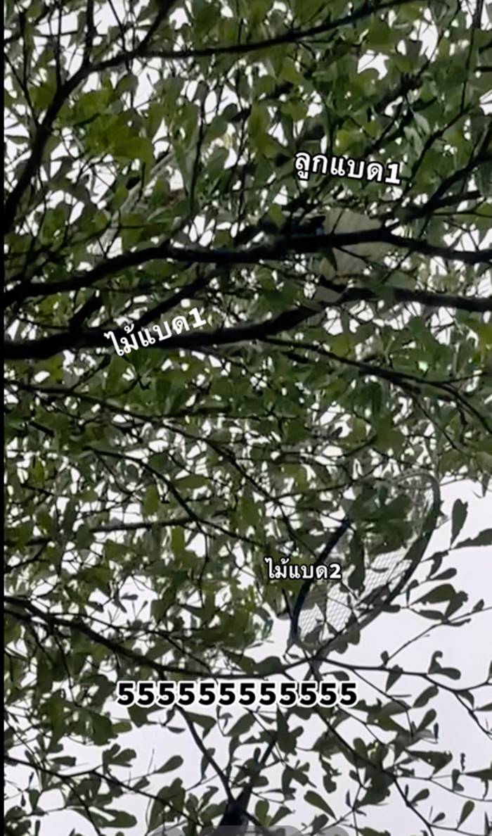 แบดมินตัน