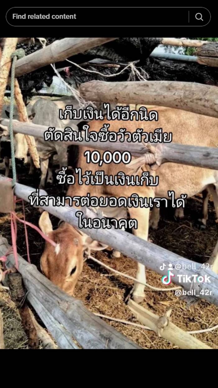 รปภ