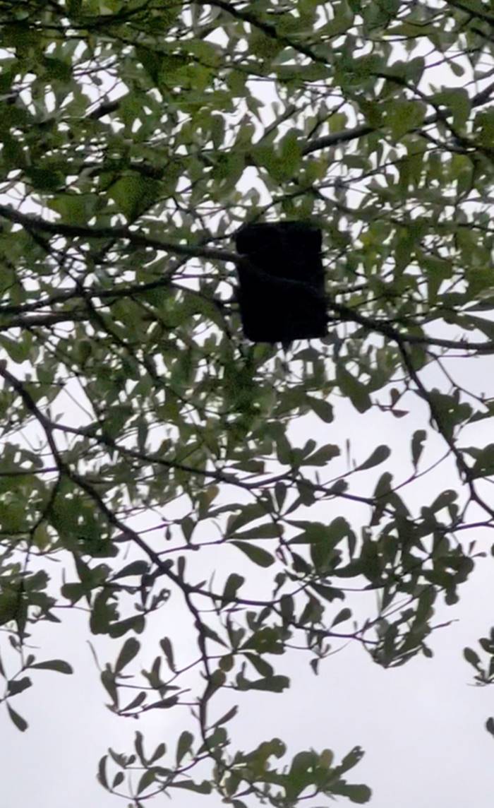 แบดมินตัน