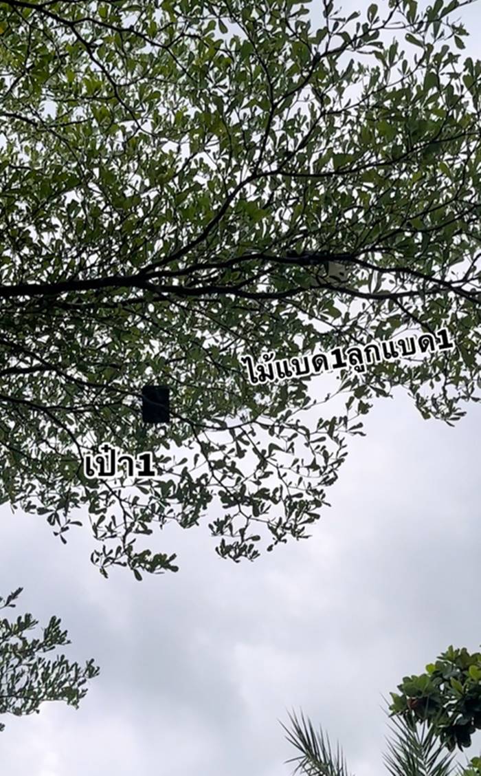 แบดมินตัน