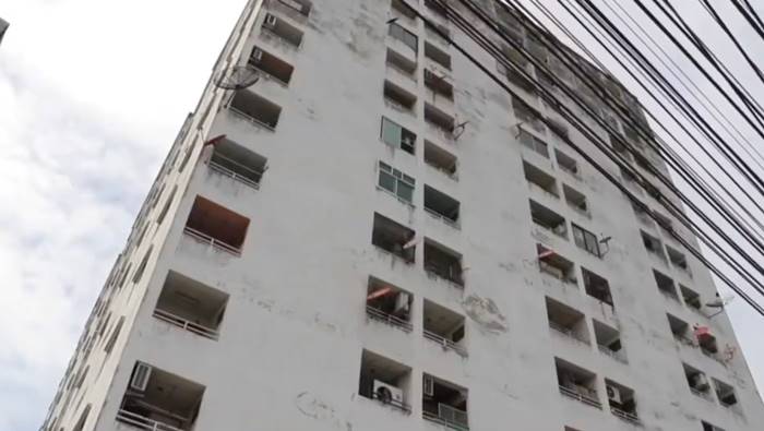 เจ๊หงส์ พิตบูล