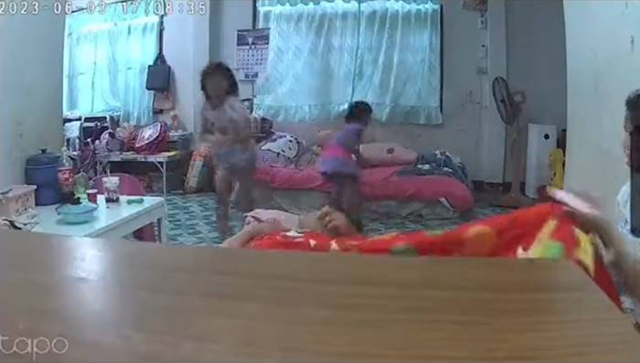 วัวเข้าบ้าน